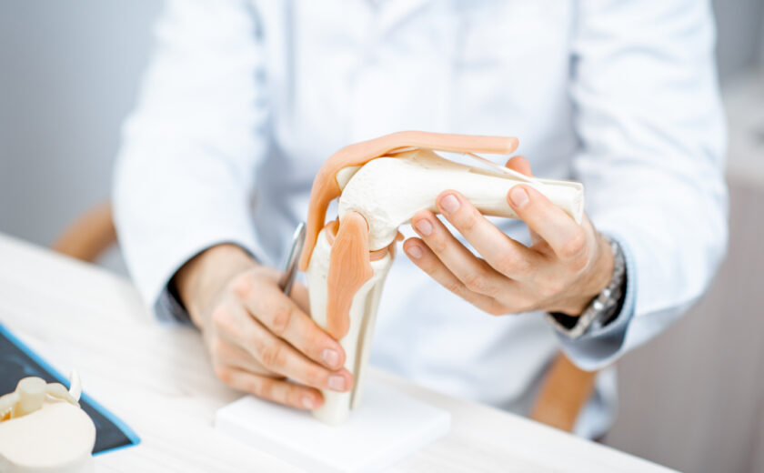 Therapist showing knee joint model