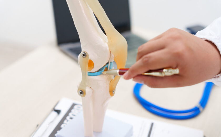 A doctor uses a knee joint model to demonstrate anatomy, diagnos